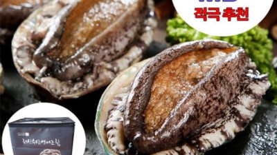 싱싱한 전복양식1kg! 가성비 끝판왕 할인 득템 후기