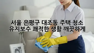 서울 은평구 대조동 주택 청소 유지보수: 쾌적한 생활, 깨끗하게!