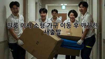 원룸 이사, 소형 가구 이동 후 깨끗한 새출발! ✨